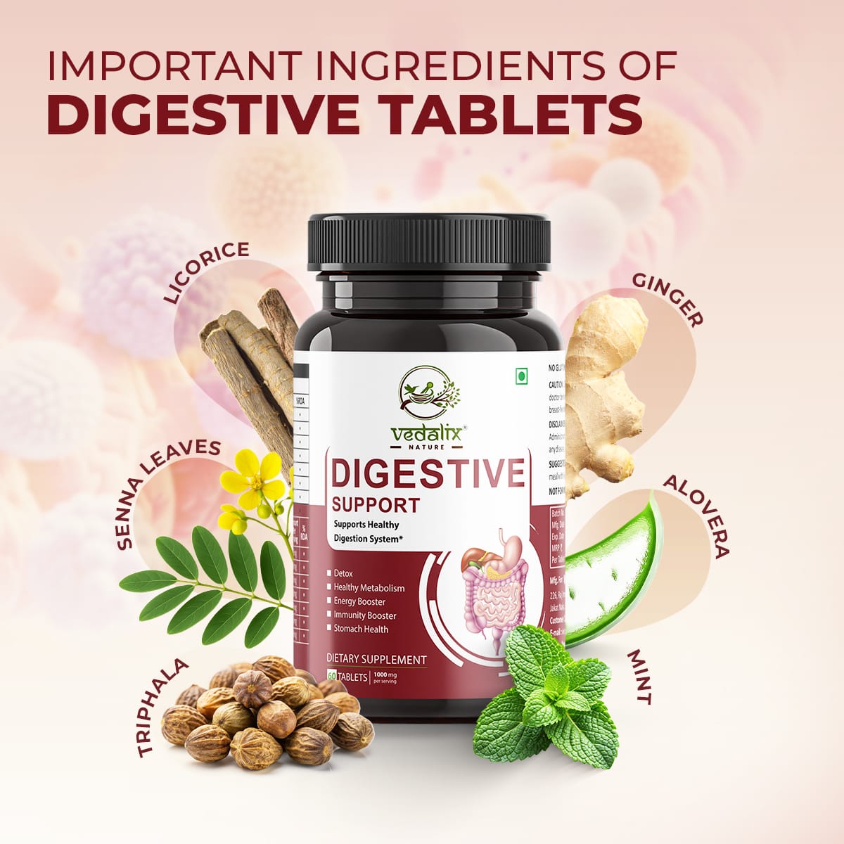 Vedalix Nature's Digestive Support Capsules