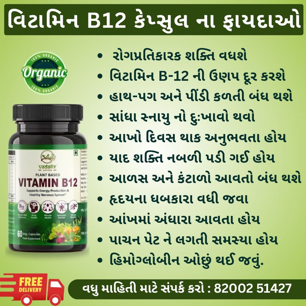 Vedalix Nature's Vitamin B12 Capsules